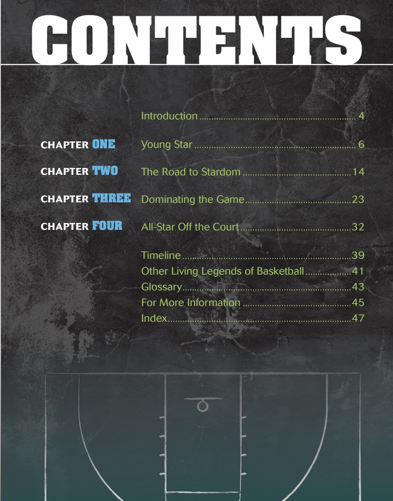 Stephen Curry: NBA Sharpshooter book cover