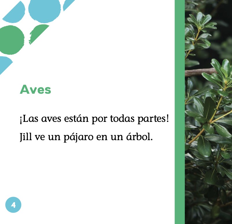 Aves — page 1