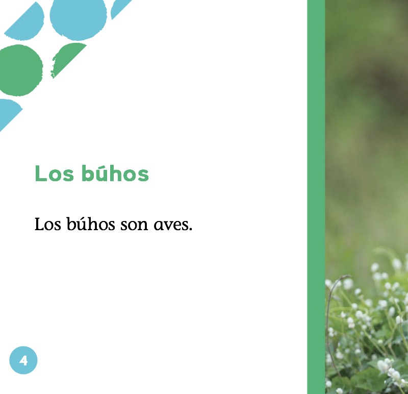Búhos — page 1