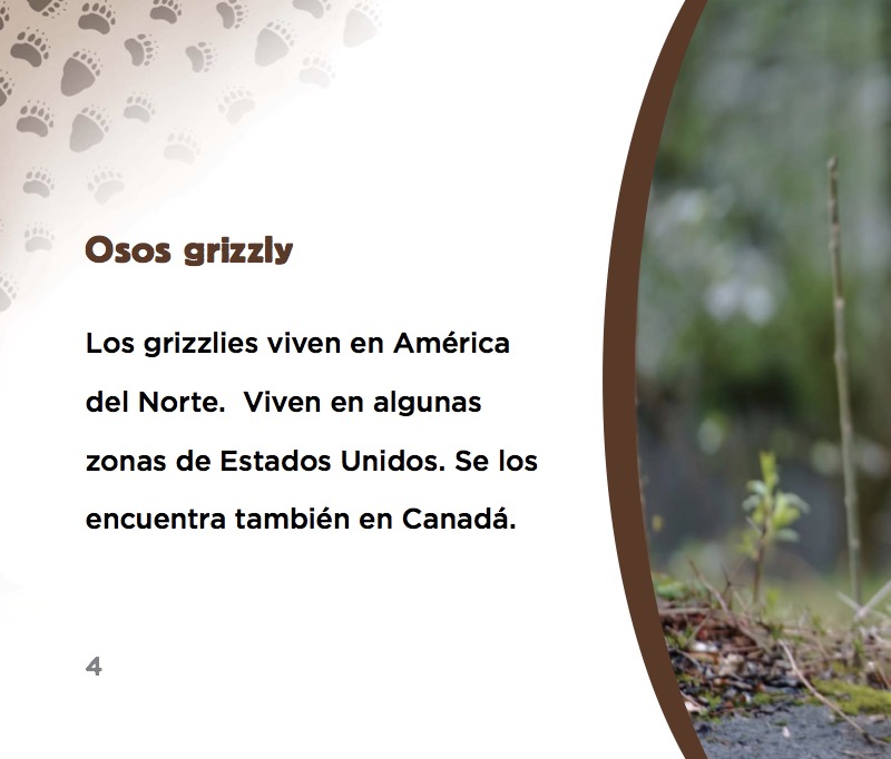 Osos grizzly — page 1