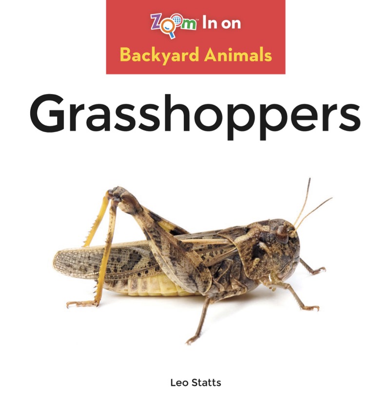 Grasshoppers book cover