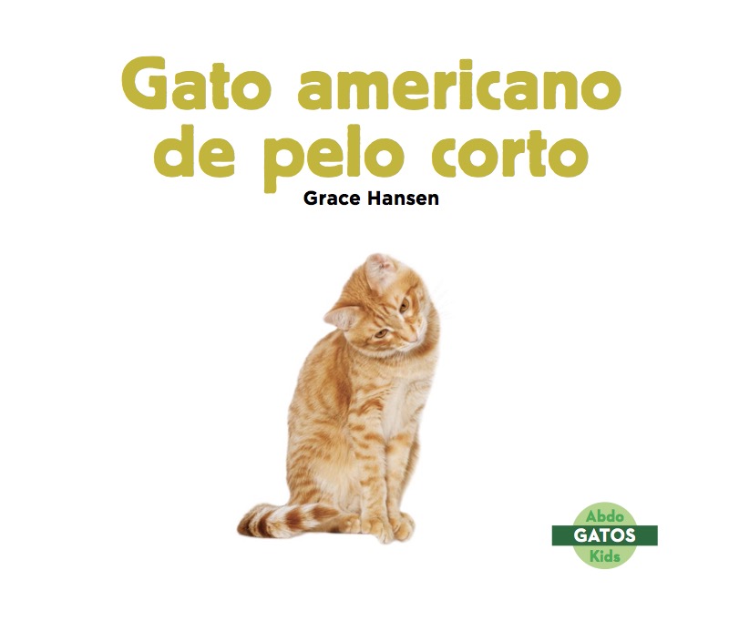 Gato americano de pelo corto book cover