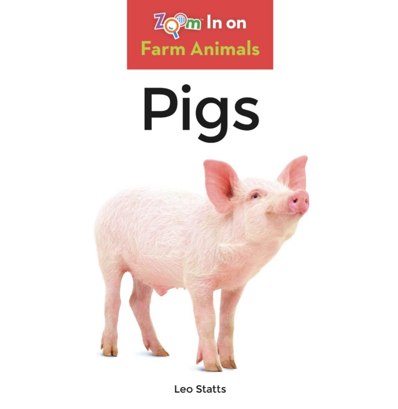 Pigs book cover