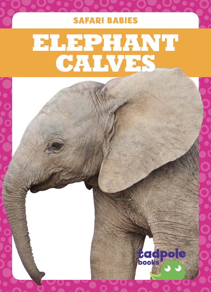 Elephant Calves book cover