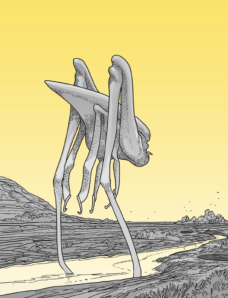 One Trick Pony book cover