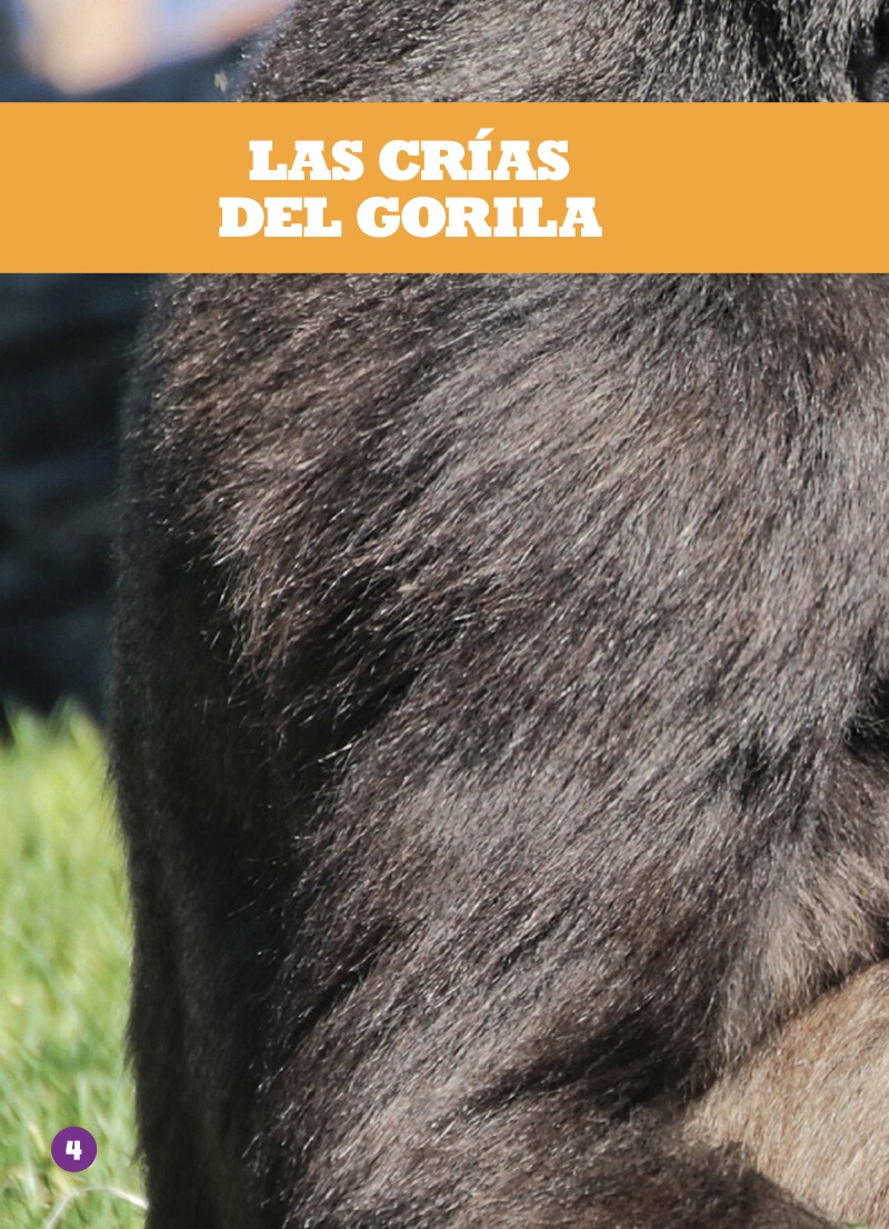 Las crías del gorila (Gorilla Infants) — page 1