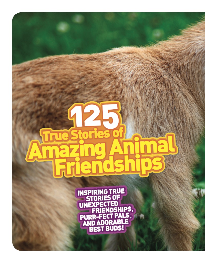 125 True Stories of Amazing Animal Friendships — page 1