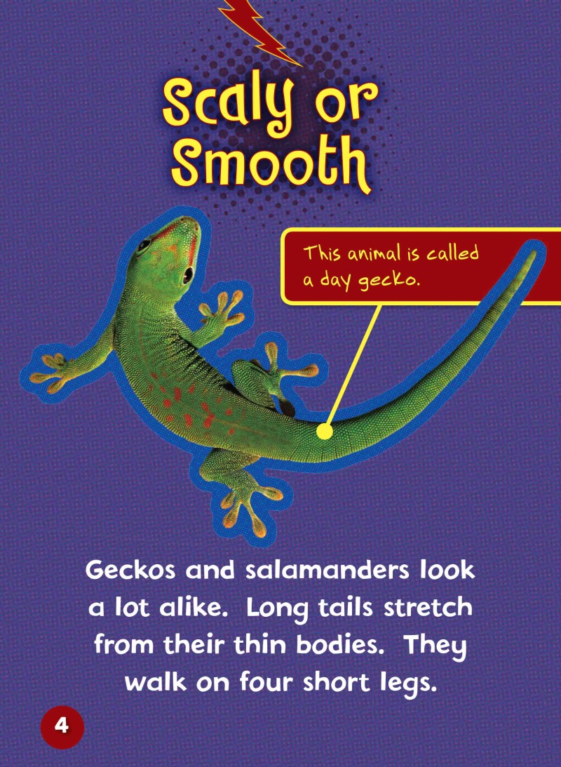 Can you Tell a Gecko from a Salamander? — page 1