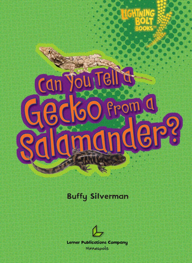 Can you Tell a Gecko from a Salamander? book cover