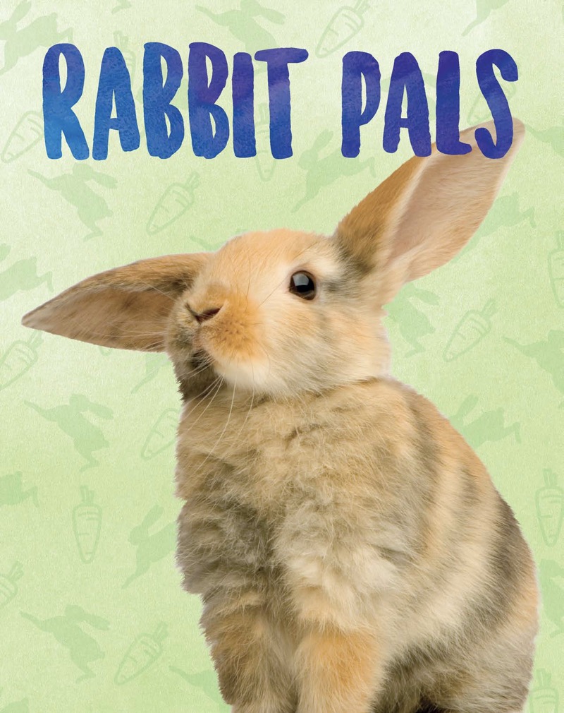 Rabbit Pals book cover