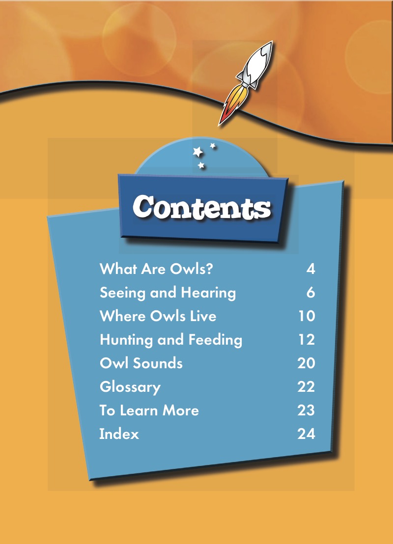 Owls: Backyard Wildlife book cover