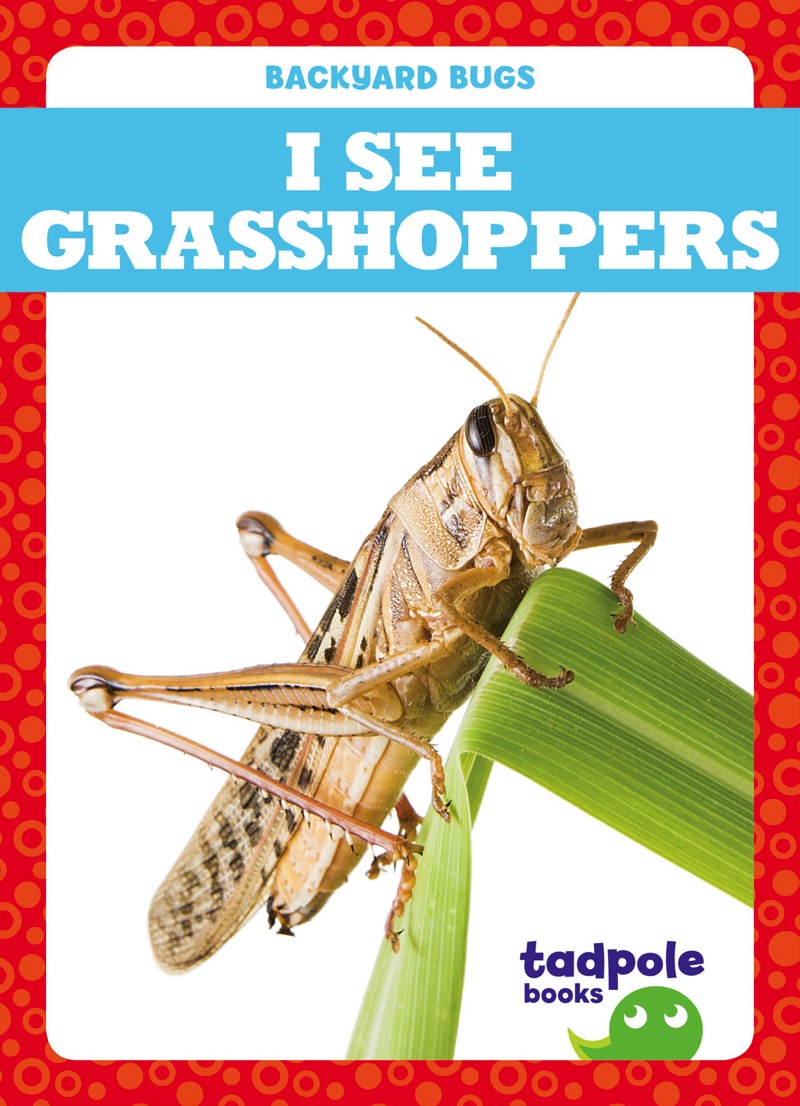 I See Grasshoppers book cover