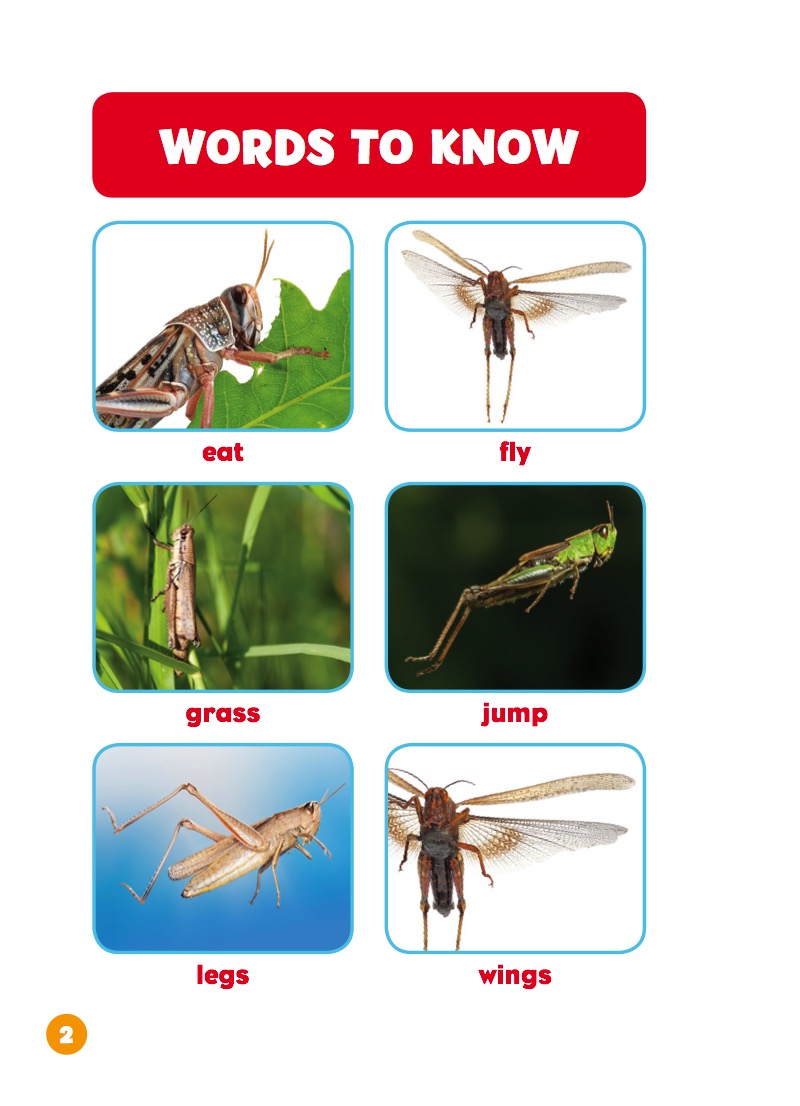 I See Grasshoppers — page 1