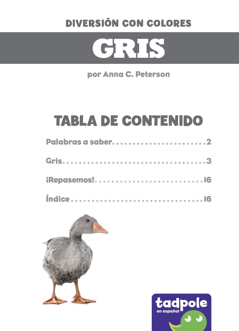 Diversión con colores: Gris book cover