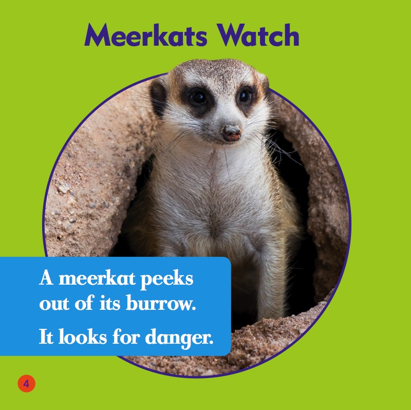 My First Animal Library: Meerkats — page 1