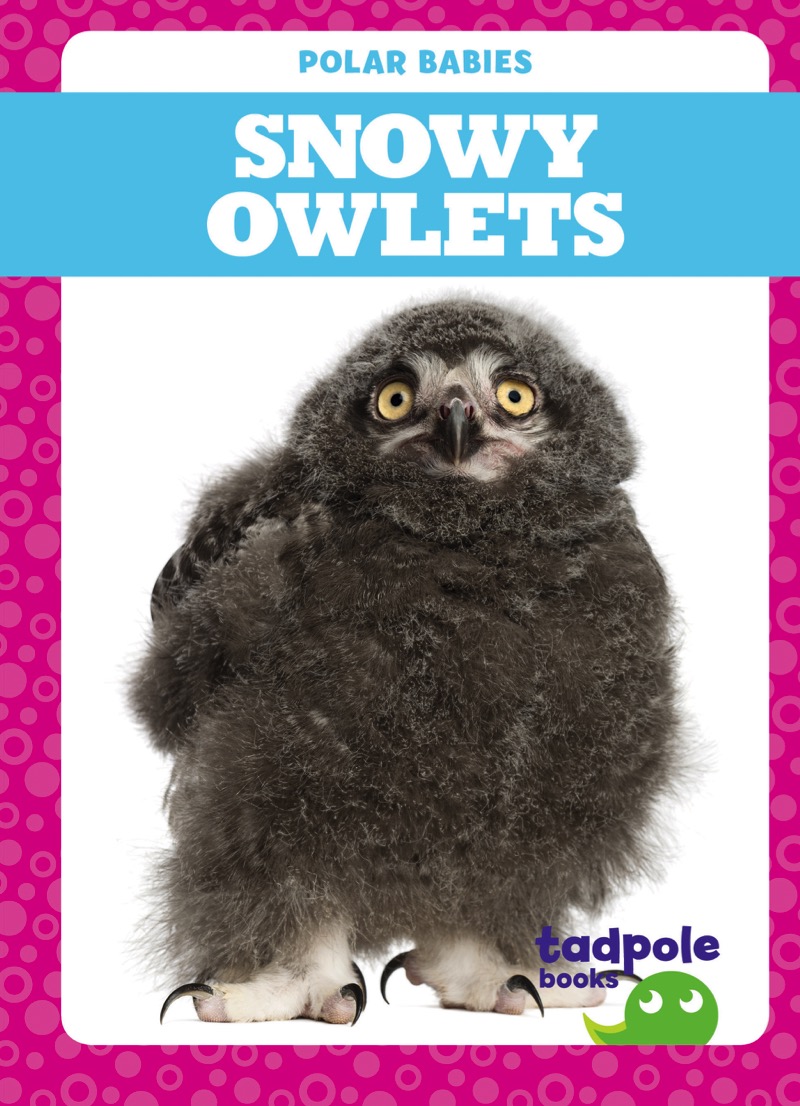 Polar Babies: Snowy Owlets book cover