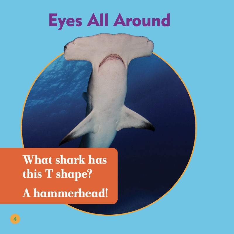 Shark Bites: Hammerhead Shark — page 1
