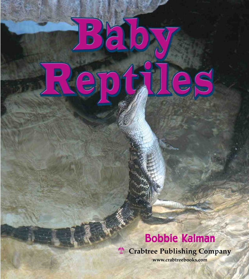 Baby Reptiles book cover