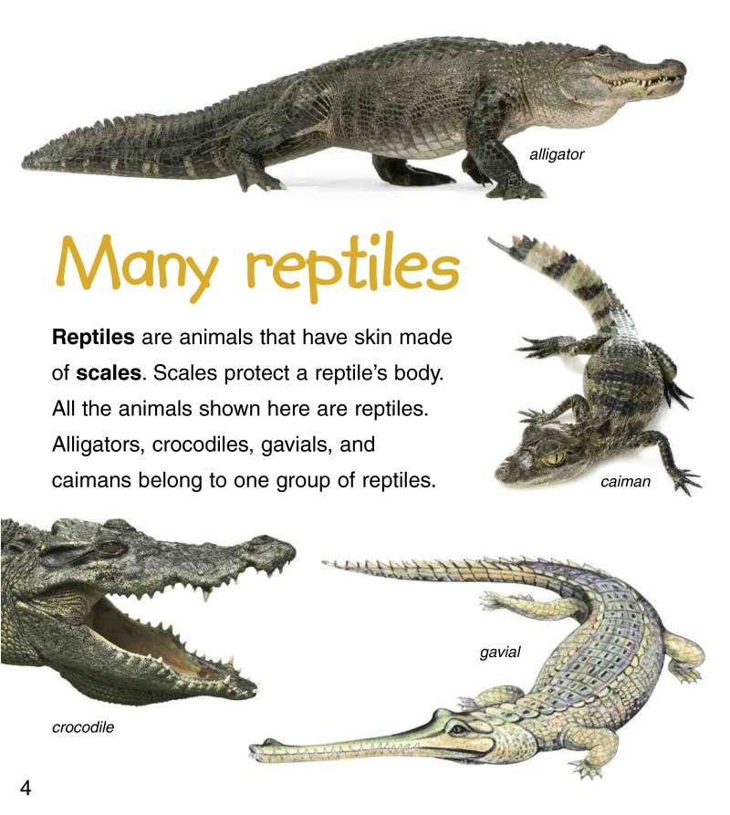 Baby Reptiles — page 1