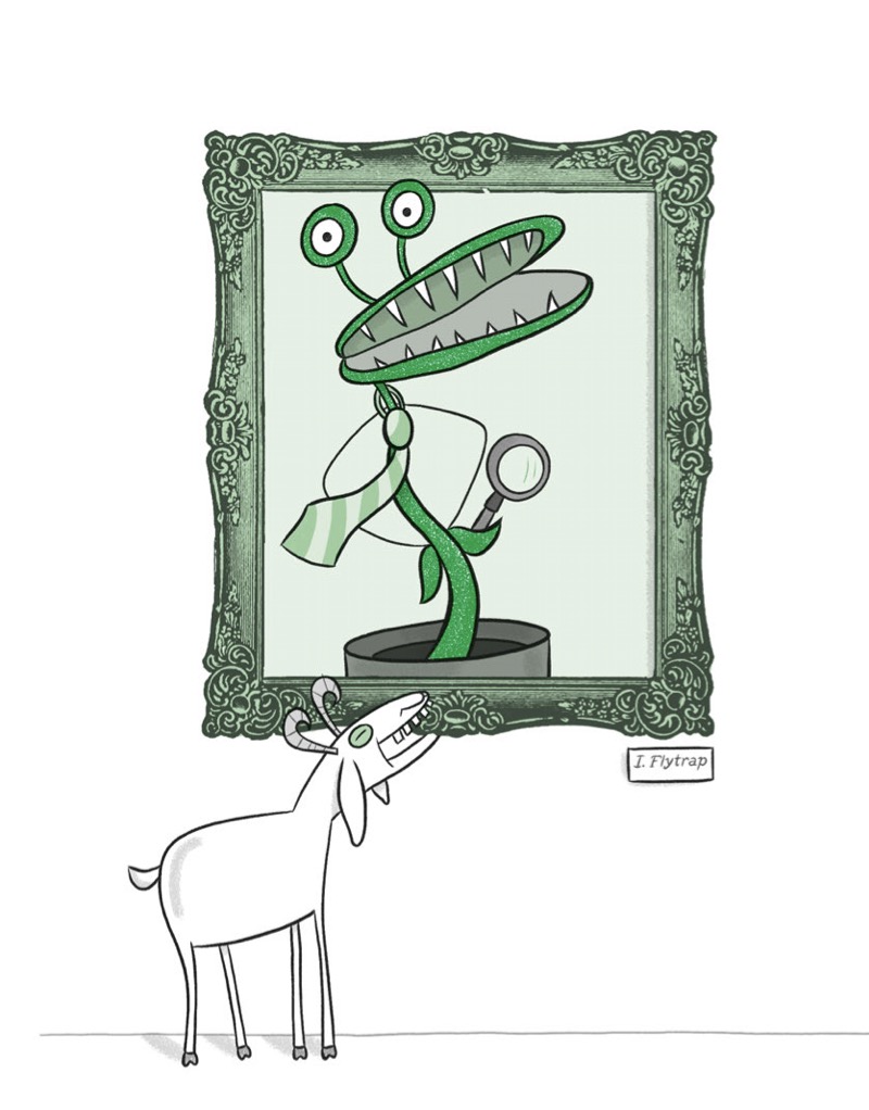 Inspector Flytrap book cover