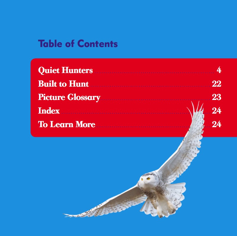 Raptor World: Owls book cover