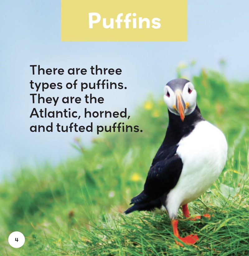 Puffins — page 1