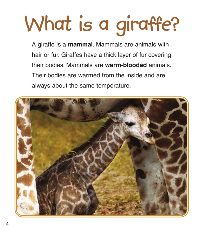 Baby Giraffes — page 1