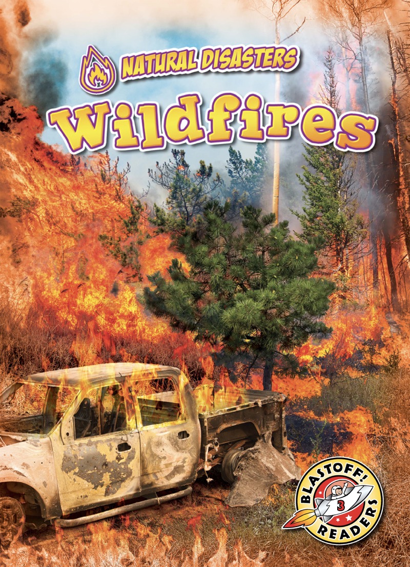Natural Disasters: Wildfires book cover