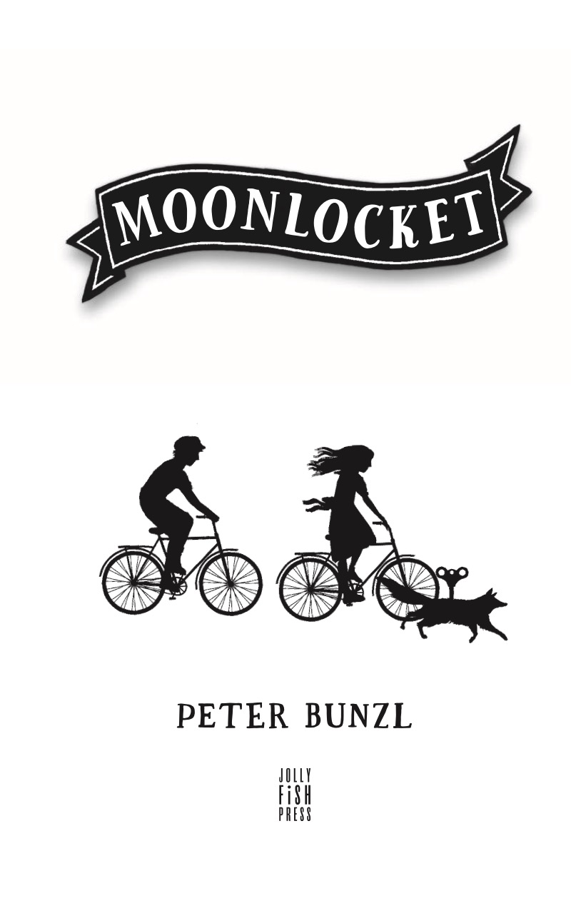 A Cogheart Adventure: Moonlocket book cover