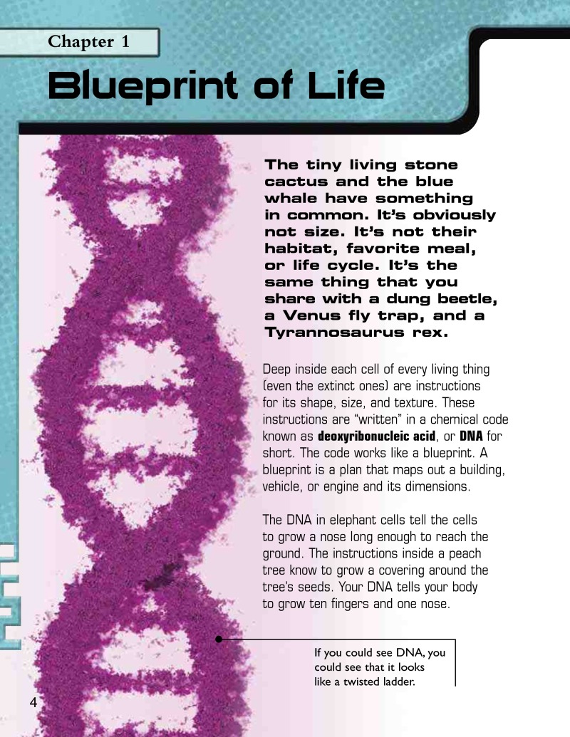 DNA — page 1