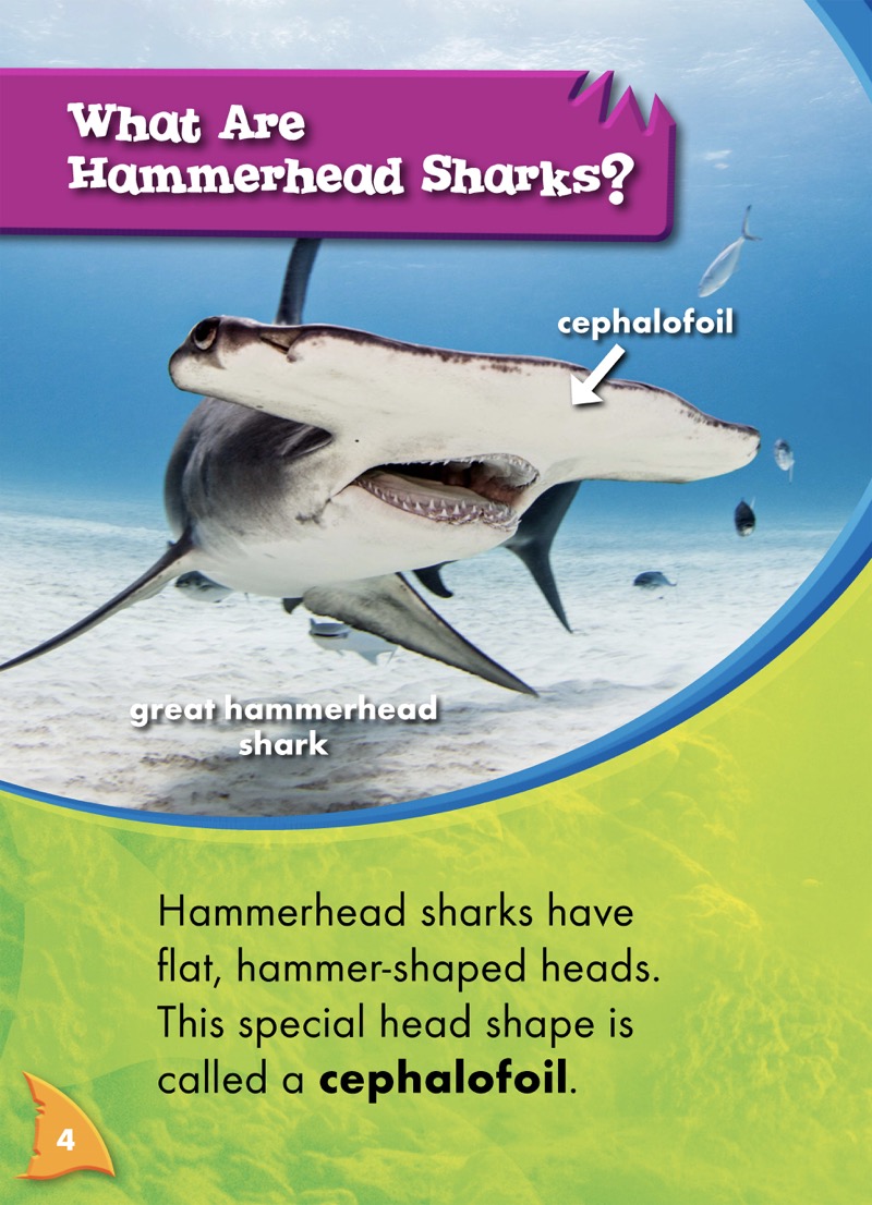 Shark Frenzy: Hammerhead Sharks — page 1