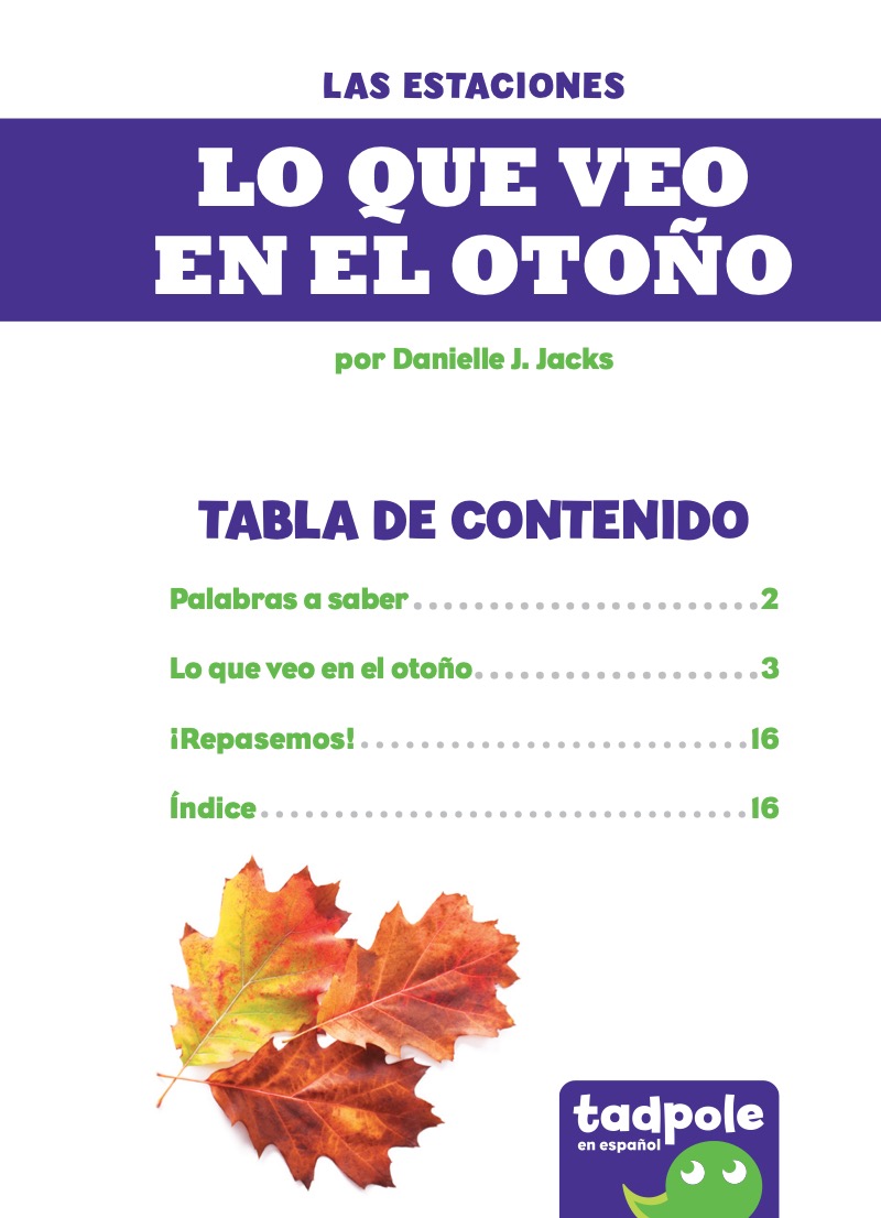 Lo que veo en el otoño (What I See in Fall) book cover