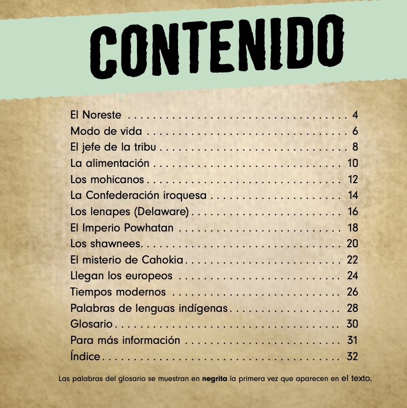 Pueblos indígenas del Noreste (Native Peoples of the Northeast) book cover