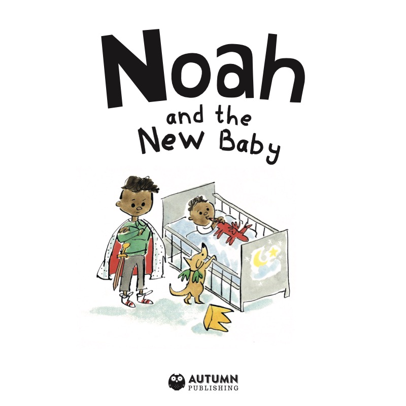 Noah and the New Baby book cover