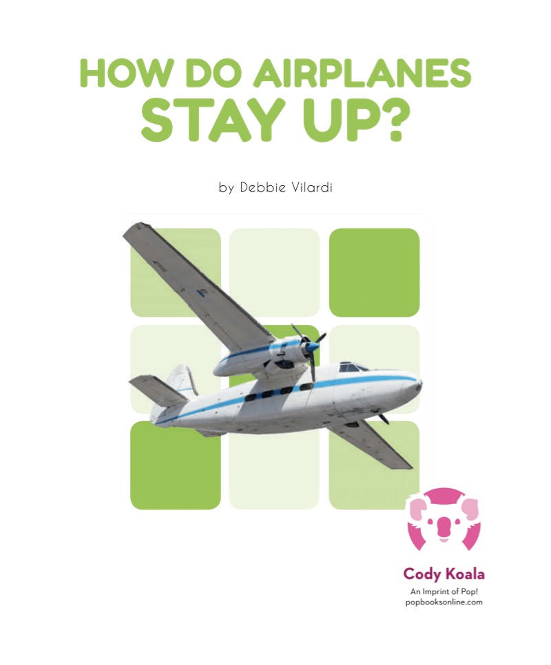 How Do Airplanes Stay Up? book cover