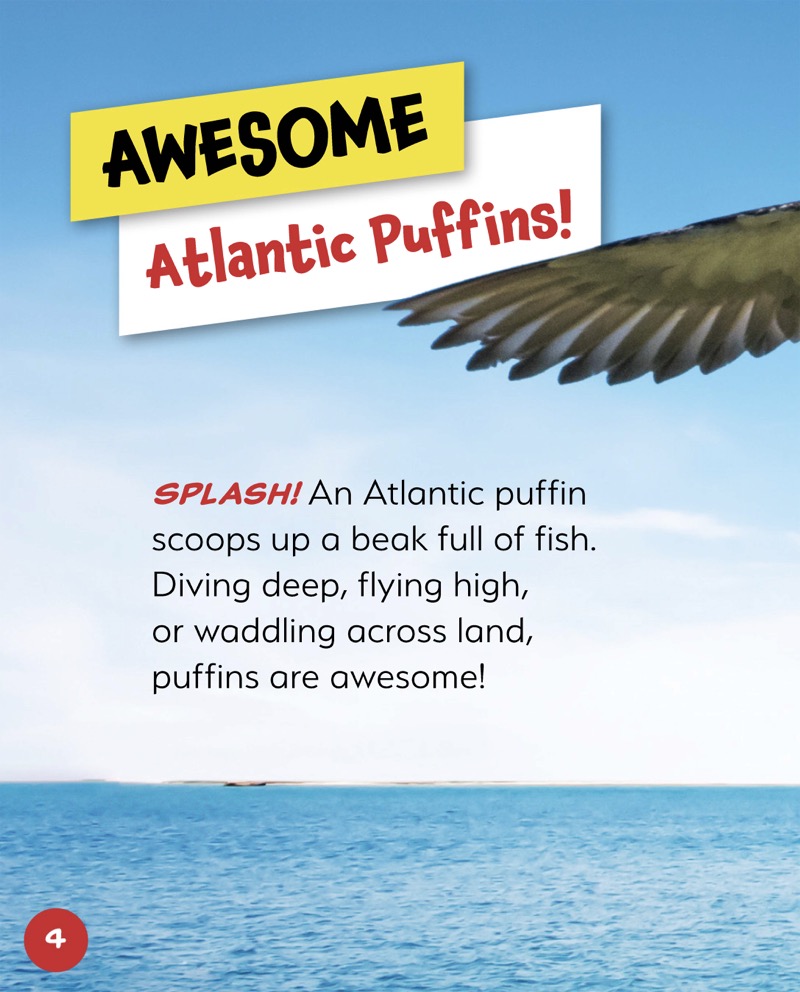 Awesome Animals: Atlantic Puffin — page 1