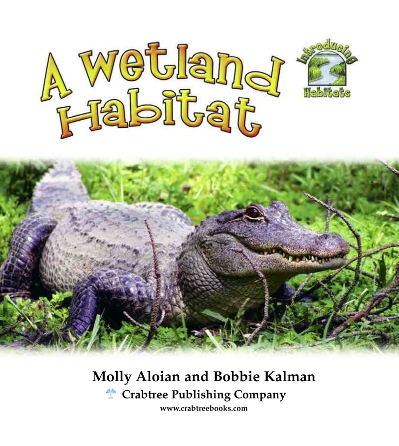 A Wetland Habitat book cover