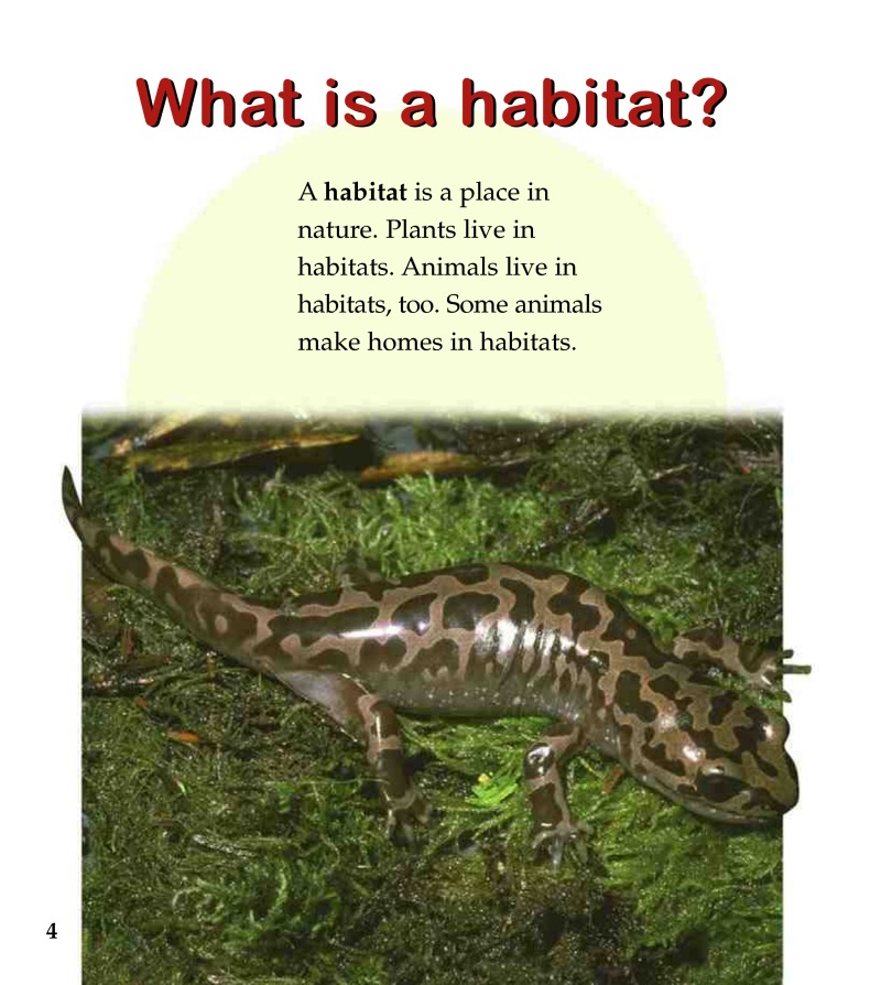 A Wetland Habitat — page 1