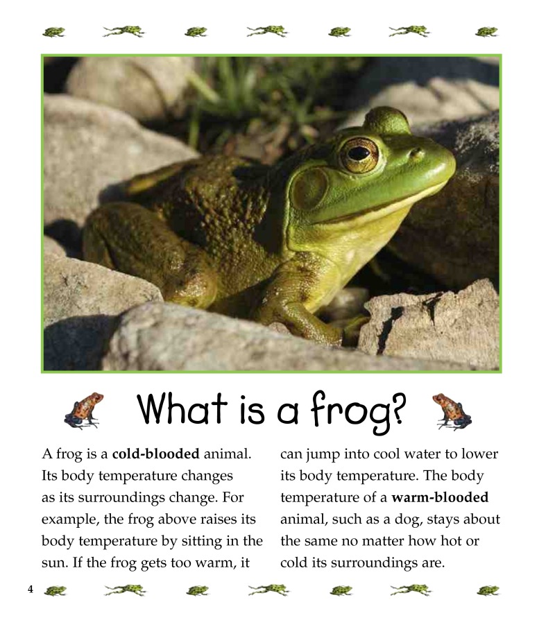 The Life Cycle of a Frog — page 1