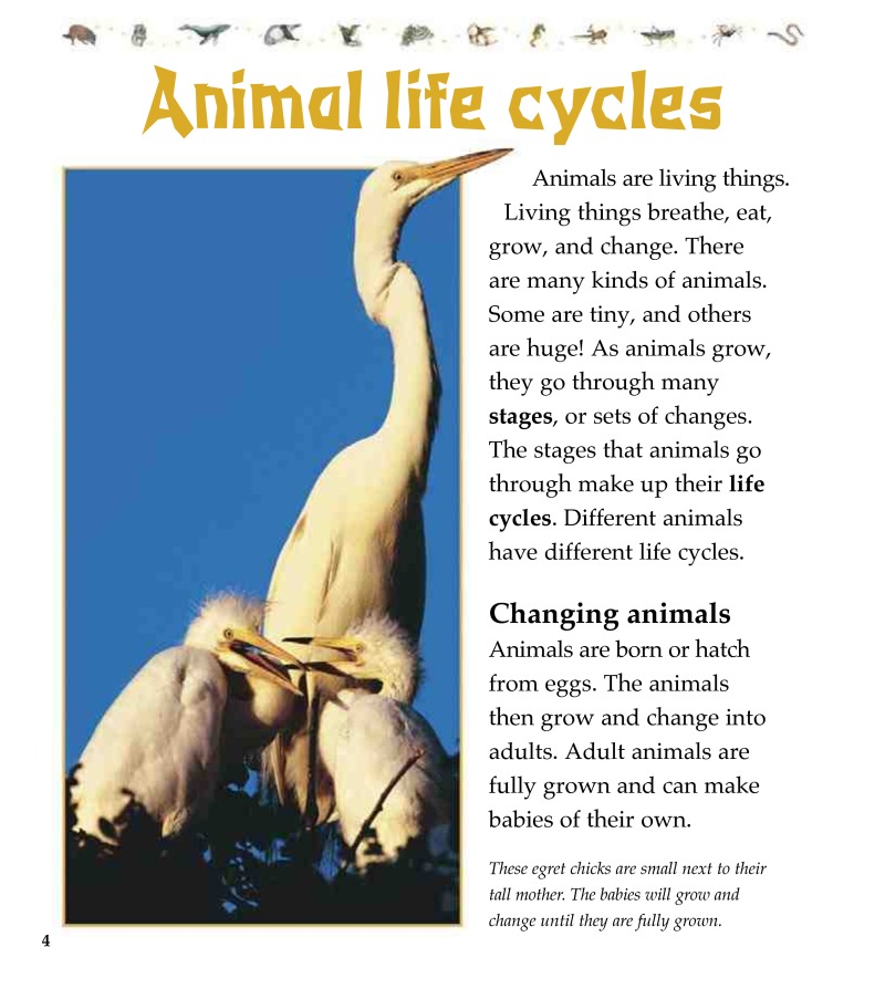 Animal Life Cycles: Growing and Changing — page 1