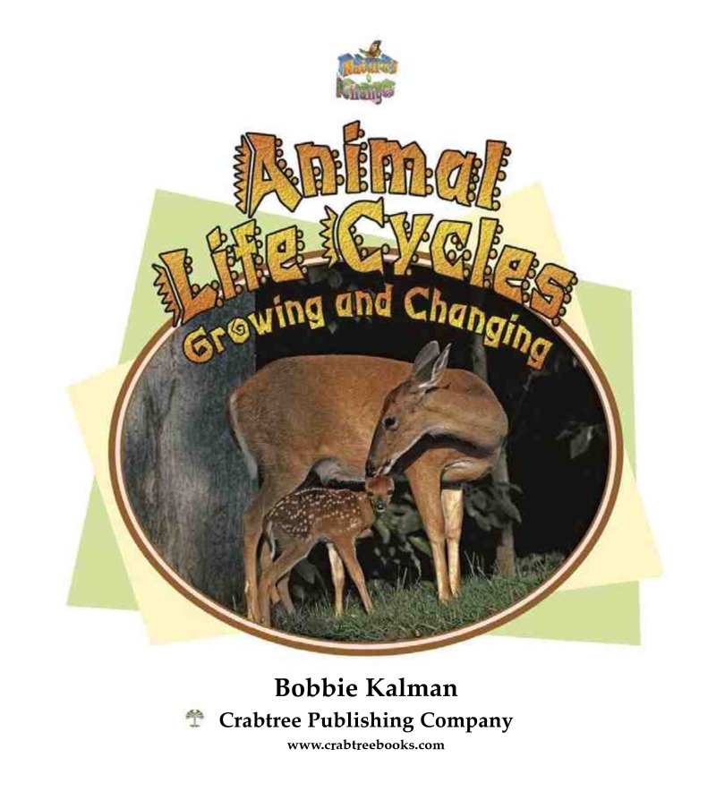 Animal Life Cycles: Growing and Changing book cover
