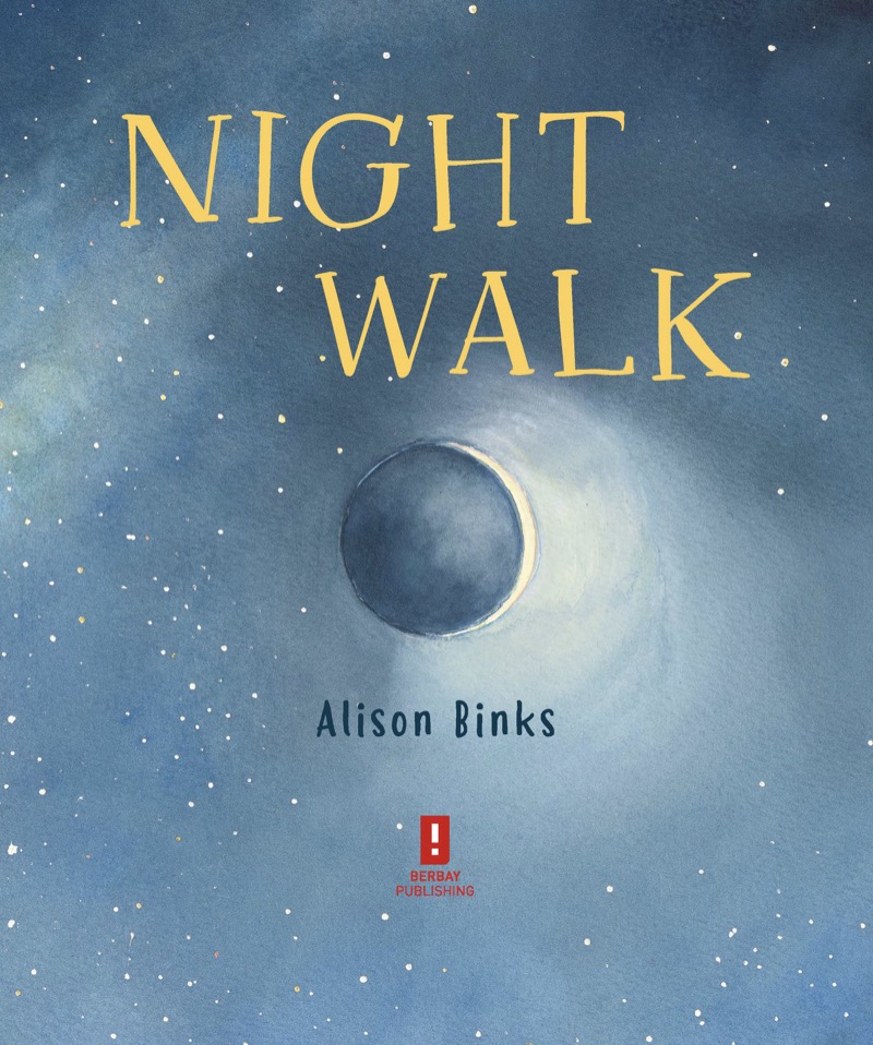 Night Walk book cover