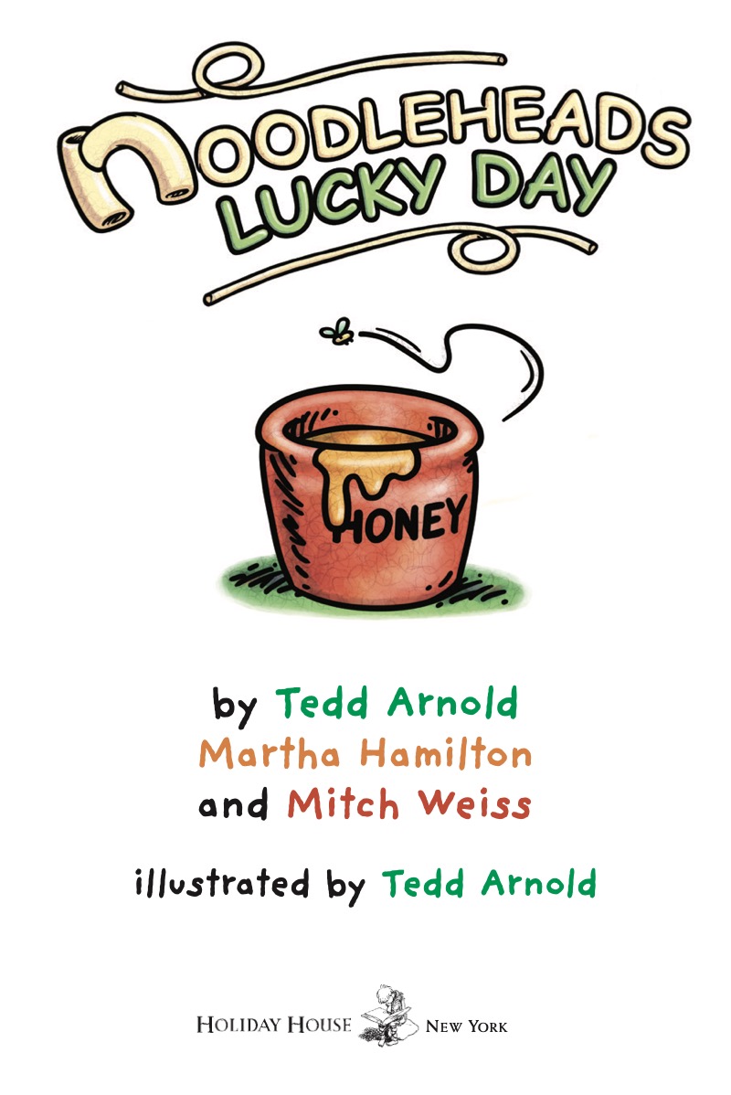 Noodleheads Lucky Day book cover