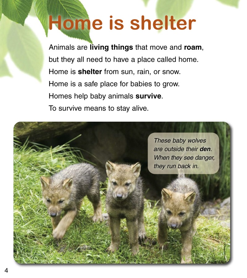 Rapping About Animal Homes — page 1