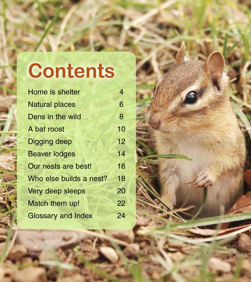Rapping About Animal Homes book cover