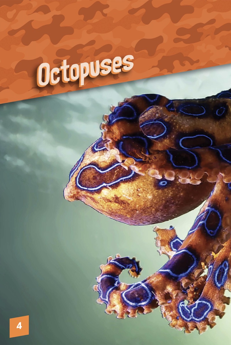 Animals With Camo: Octopuses — page 1