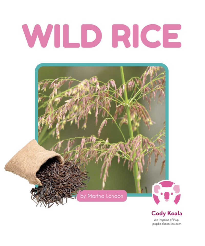 How Foods Grow: Wild Rice book cover