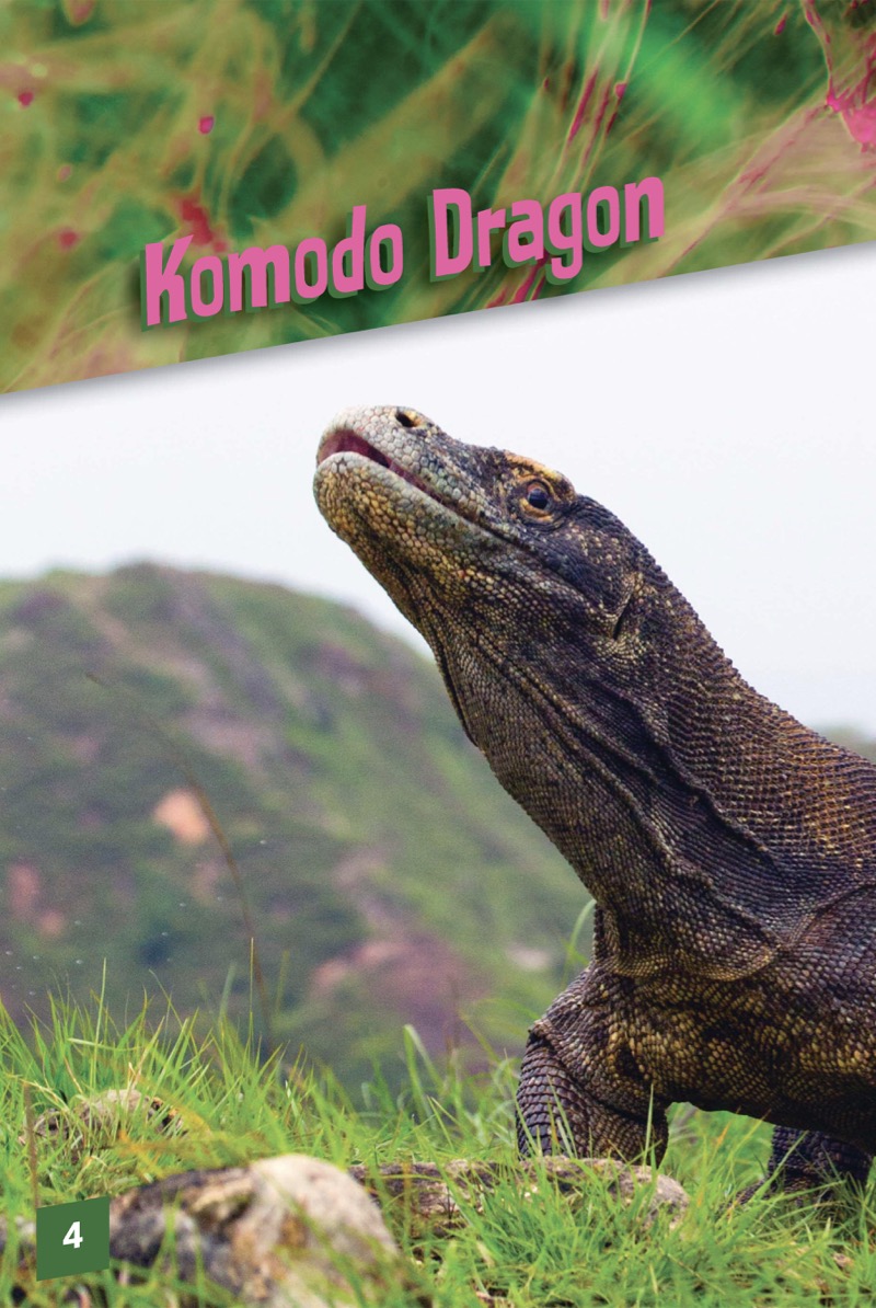 Animals with Venom: Komodo Dragon — page 1