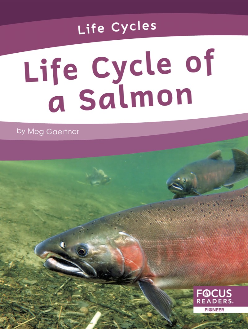 Life Cycle of a Salmon book cover