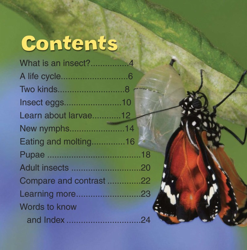 Life Cycles of Insects book cover